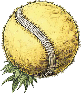 Ball