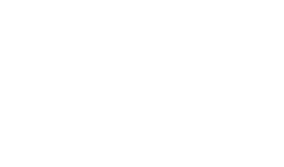 EDOUARD DAMESTOY