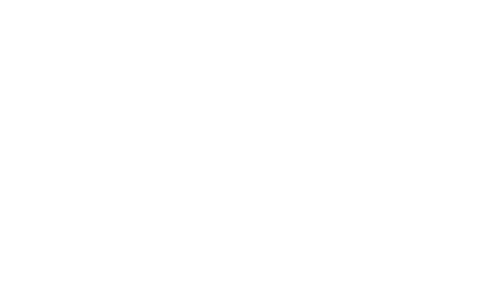 GAETAN ALIN