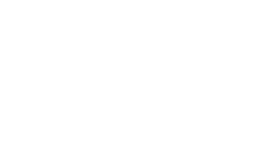 JOSHUA DUBAU