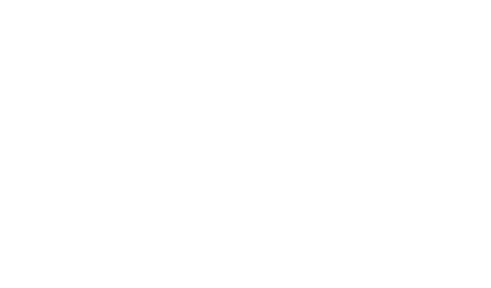 LAURA TARANTOLA