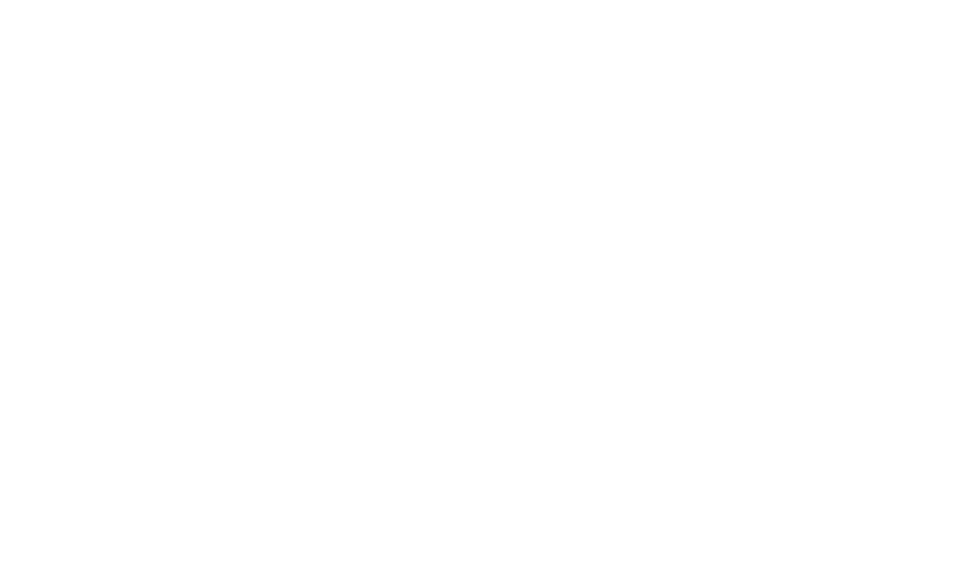 MARIE PATOUILLET
