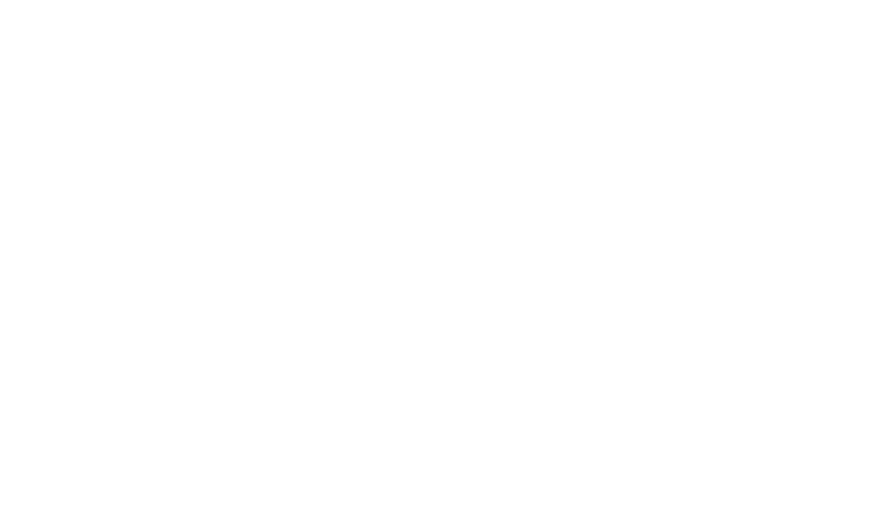 PAUL GEORGENTHUM