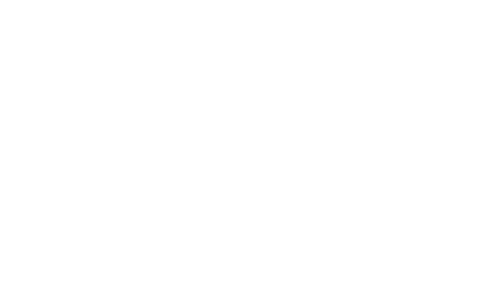 ROMAIN CANNONE