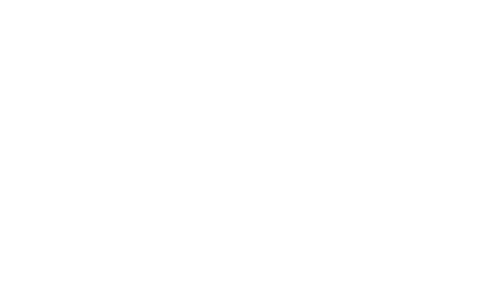 ROOS ZWETSLOOT