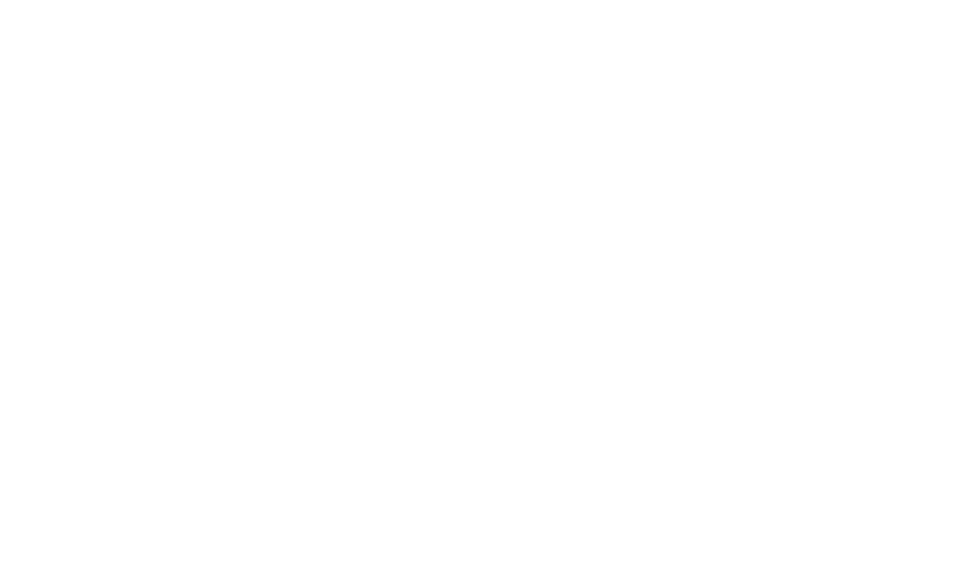 VINCENT GERARD